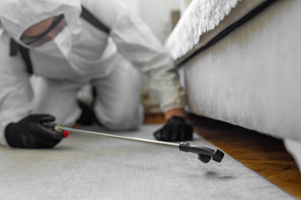 Professional Pest Control technician working in Fox Lake, WI