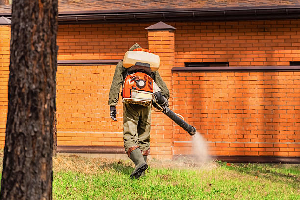 Trusted Rodent Control service in Fox Lake, WI - Nex Pest Control